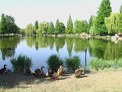 parcoamendola_2779_54.jpg